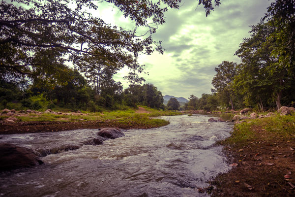 Maredumilli 1 Day tour package